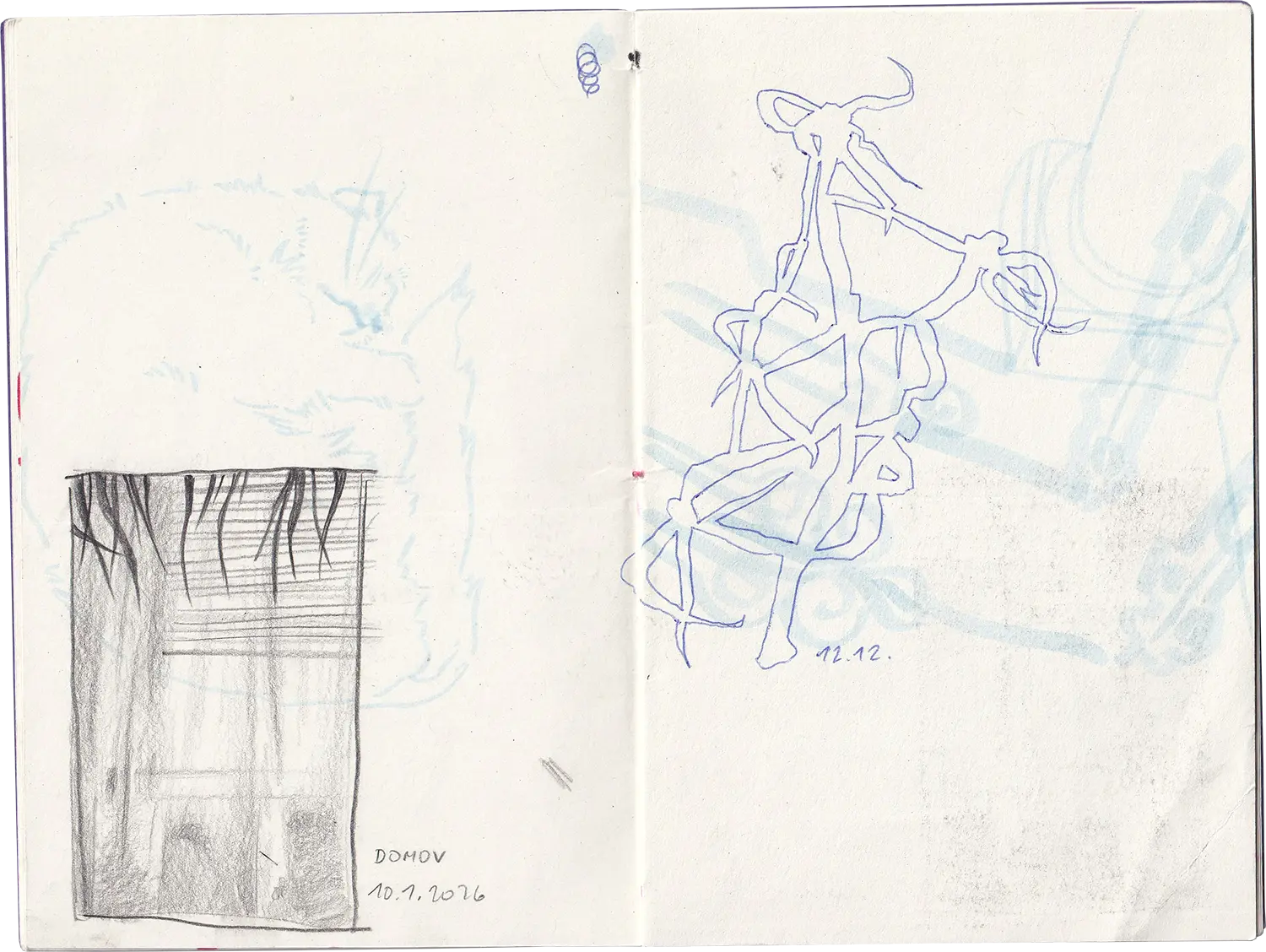 horses_5.webp